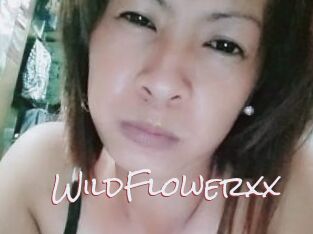 WildFlowerxx