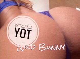 Wild_Bunny_