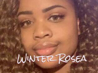 Winter_Rosea