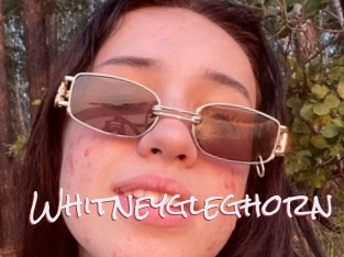 Whitneygleghorn