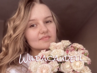 Wildacaudell