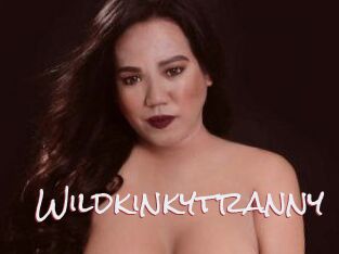Wildkinkytranny