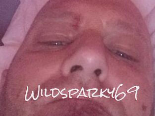 Wildsparky69