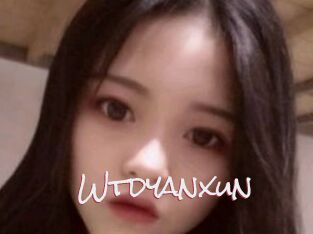 Wtdyanxun