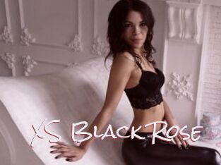 XS_Black_Rose