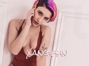 Xangiesin