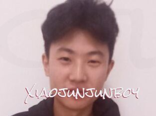 Xiaojunjunboy