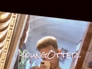 YoungOtter