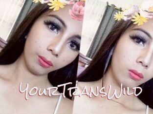 YourTransWild