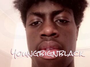 Youngbignblack