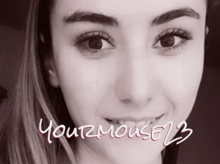 Yourmouse23