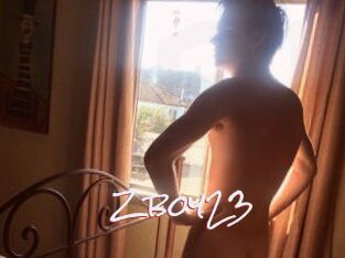 Zboy23